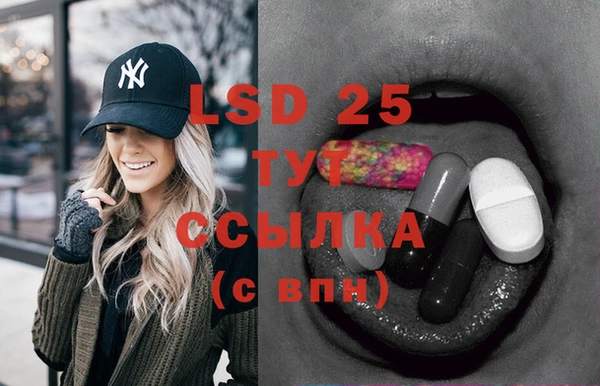 гидра Каменка