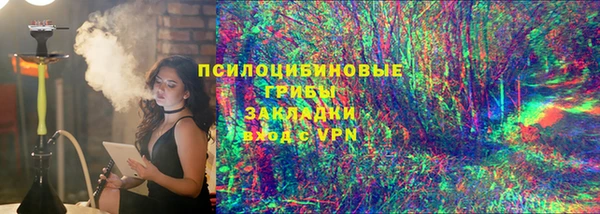 индика Каменск-Шахтинский