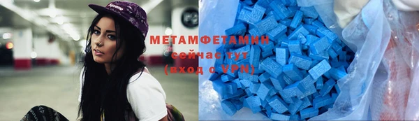 гидра Каменка