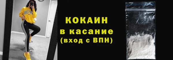 гидра Каменка