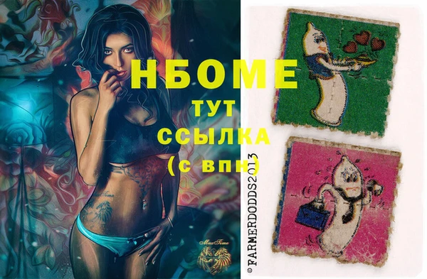 гидра Каменка