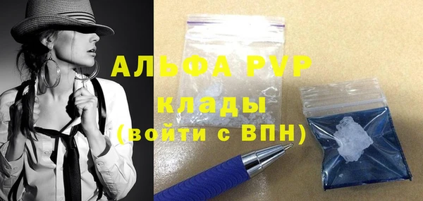 гидра Каменка