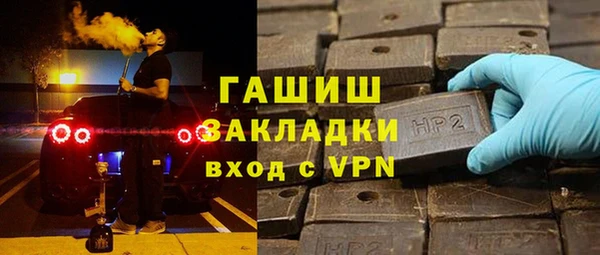 гидра Каменка