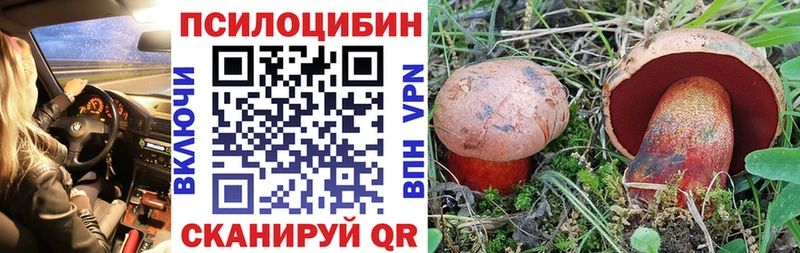 закладка  MEGA маркетплейс  Псилоцибиновые грибы мицелий  Луховицы 