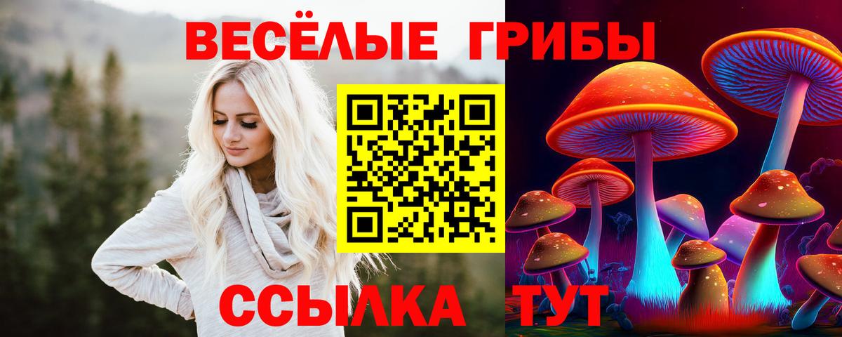Псилоцибиновые грибы мухоморы Луховицы